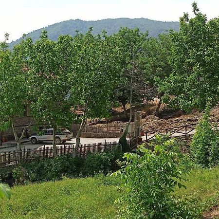 Sintrivanis Mountain Ano Skotina Екстер'єр фото