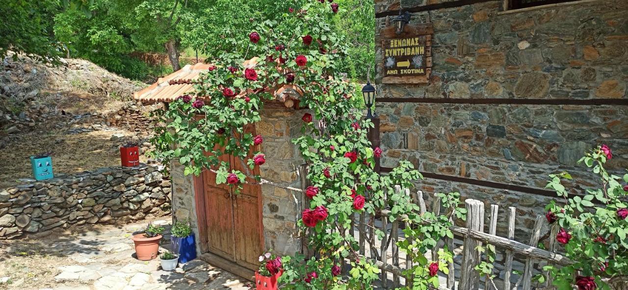 Sintrivanis Mountain Ano Skotina Екстер'єр фото