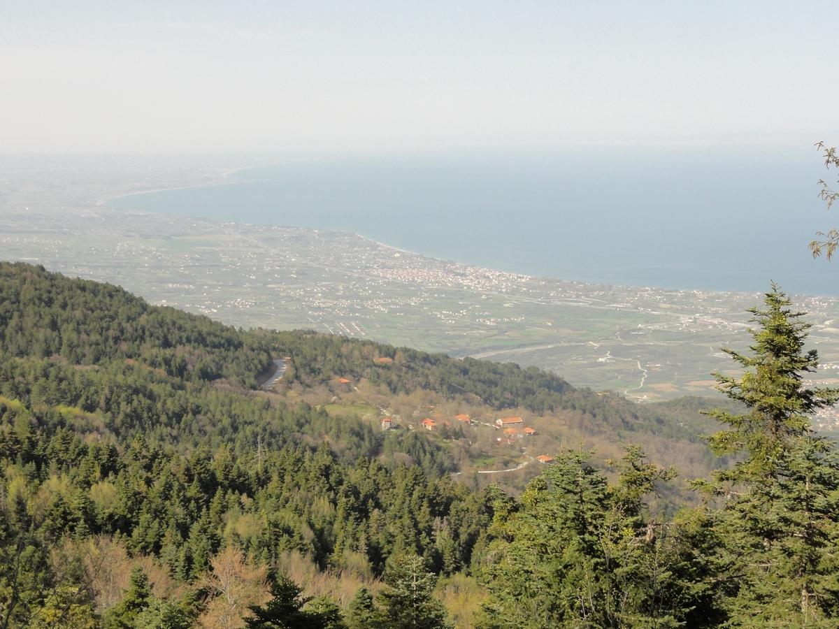 Sintrivanis Mountain Ano Skotina Екстер'єр фото