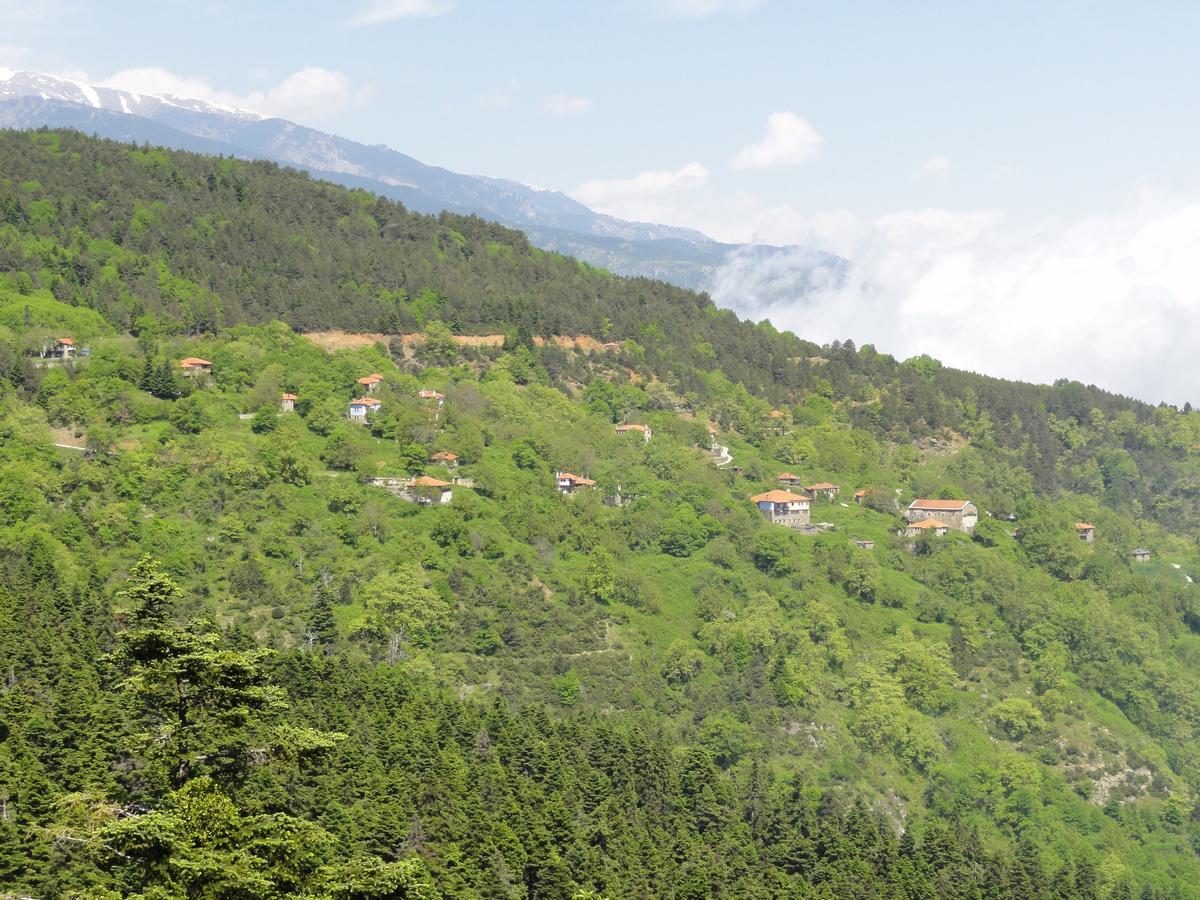 Sintrivanis Mountain Ano Skotina Екстер'єр фото